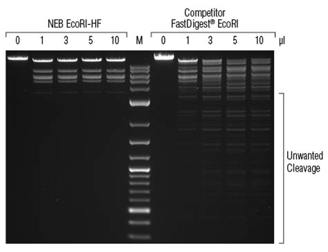 neb enzymes|HF Enzymes .